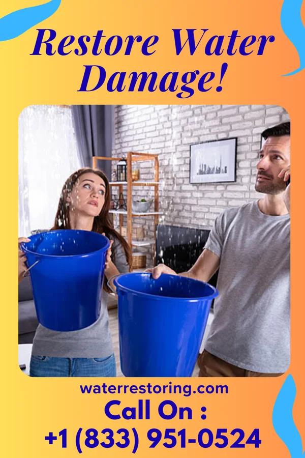 water restoration Best Water Removal Experts Callimont
