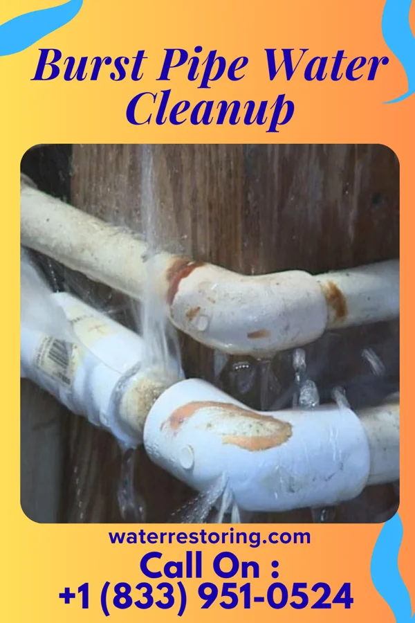 Burst Pipe Water Cleanup in Callimont, PA