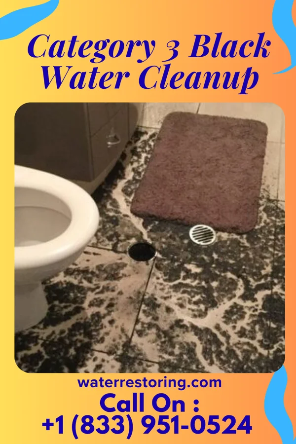 Category 3 Black Water Cleanup in Callimont, PA