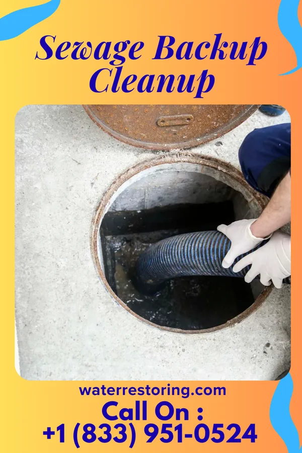 Sewage Backup Cleanup in Callimont, PA